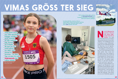 Ausschnitt des Artikels